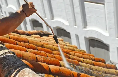 Nettoyage de toitures - Caligny